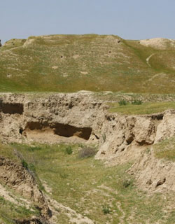 Afrasiab