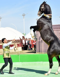 Turkmenistan Holidays