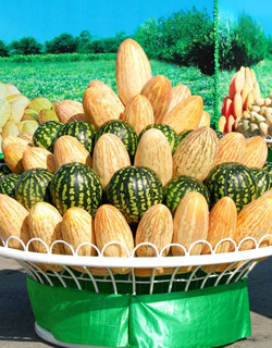 Dive In A Melon Paradise