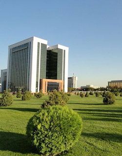 Tashkent Miscellaneous