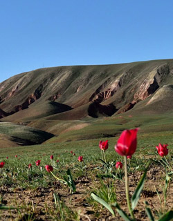 Nature Reserves In Turkmenistan