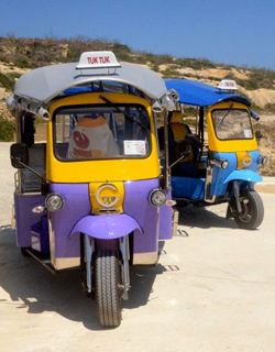 Travel Around Bukhara By Rickshaw 