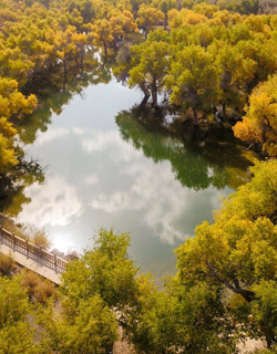 Salar Channel
