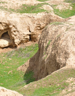 Afrasiab