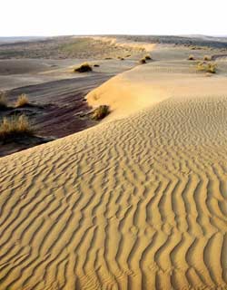 Uzbekistan Deserts