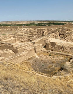 Parthian Settlement Of Nisa