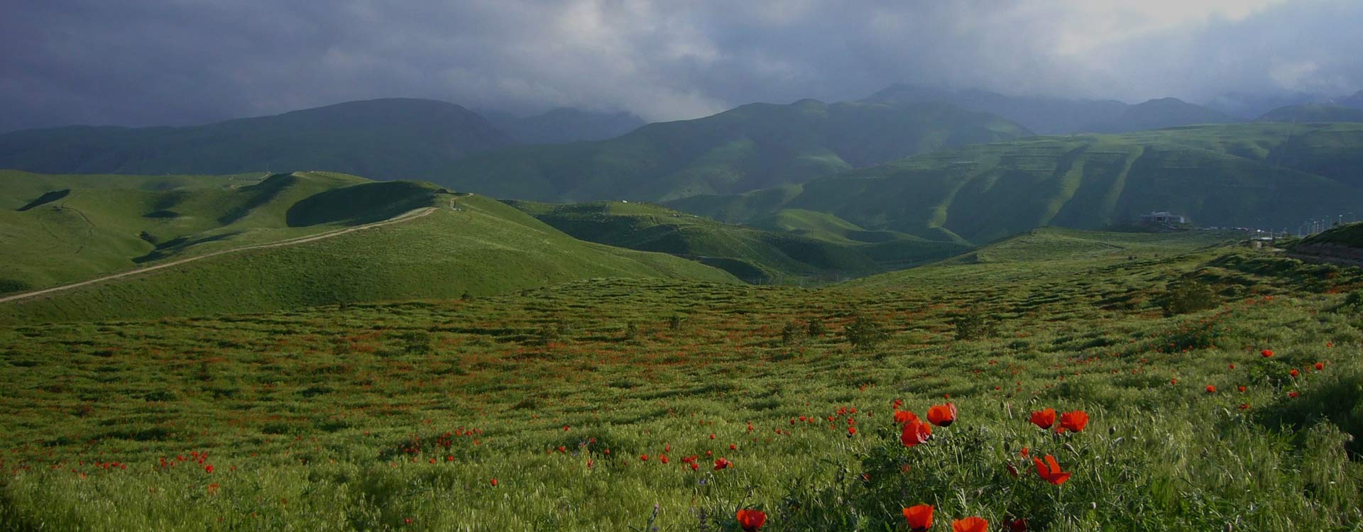 Turkmenistan Seasonal
